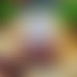 Novelist in love book review 😍