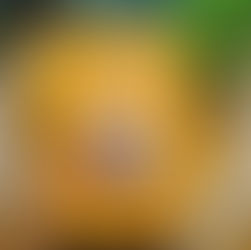 Book Review – Journey to The Top 3% League: Unlocking The Hierarchy of Human Excellence by Rajeev Kharyal