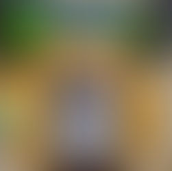 Book Review: The Blind King