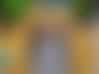 Book Review: The Blind King