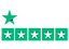 trustpilot-logo-snijpunt white.png