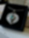 IMG_5555.JPEG