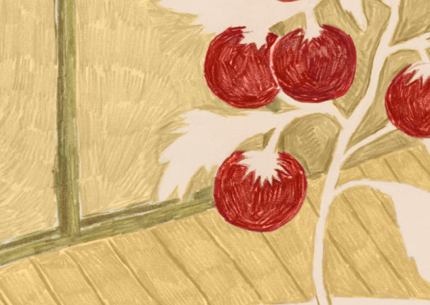Thumbnail: tomatoes