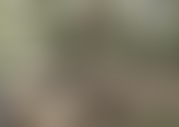 Cable-Cam shooting at BMX Trails