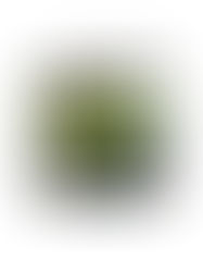 เล่นแร่แปลเนื้อ | Ride - HYBS