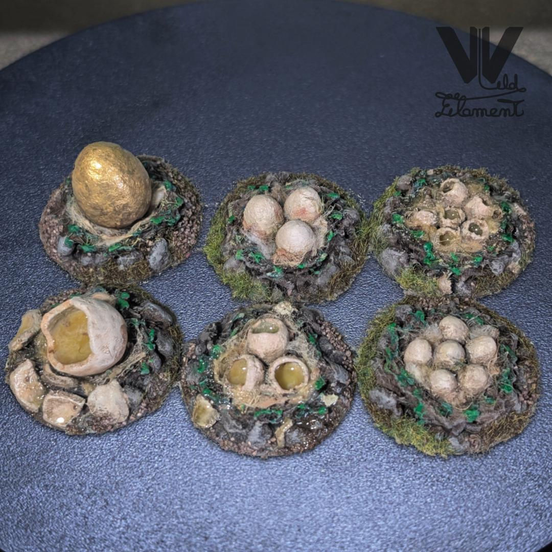 Eggs Nest Various Size and Status Set