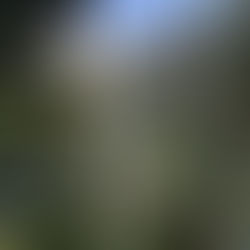 Guía Definitiva para Visitar la Cascada La Chorrera y El Chiflón (2025)