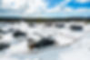 DJI_0070.jpg