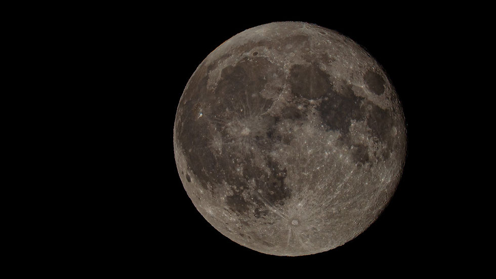 An image shot at 600mm on my A7RII, cropped to around 1000mm, while retaining around 10 Megapixels, a respectable amount to still display the image on a 4K screen without any loss of image quality.