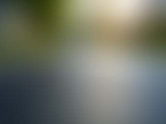 The Essential Guide to Asphalt Sealcoating and Driveway Maintenance for Abilene Homeowners