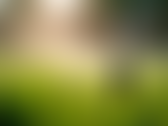 Maintain a Healthy Lawn with Proper Irrigation Care