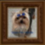 Cash.jpg