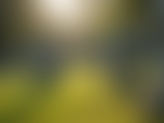 Understanding Final Expense Insurance Coverage: What It Really Covers