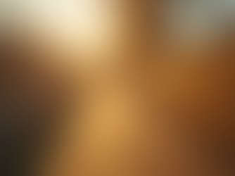 Best Practices for Fence Cleaning