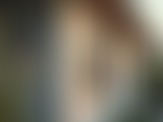 Understanding Lifetime Warranty Windows