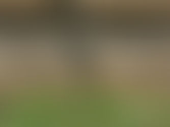 Signs You Need Foundation Repair After a Drought in Abilene, TX