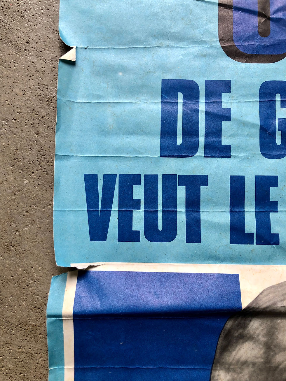 Miniature : Affiche De Gaulle 