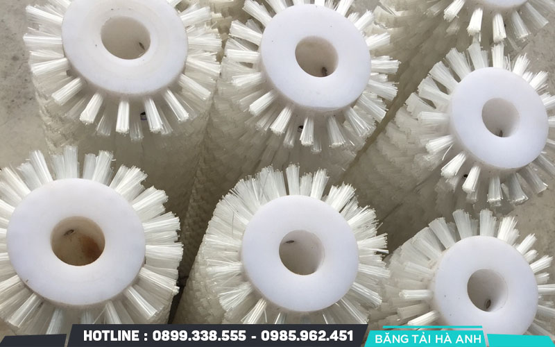 Giới thiệu về con lăn vệ sinh băng tải