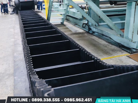 Lý do băng tải cao su tai bèo được ưa chuộng trong ngành công nghiệp hiện nay