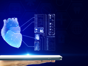 Heart Ultrasound Kingston