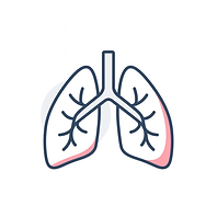 Minimalist Human Lungs Illustration.png