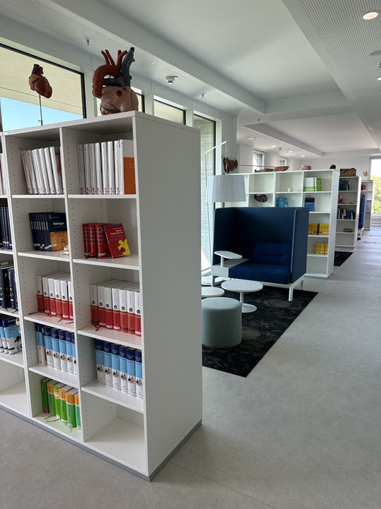 Bibliothek für Schüler, Regal mit Büchern und Exponaten