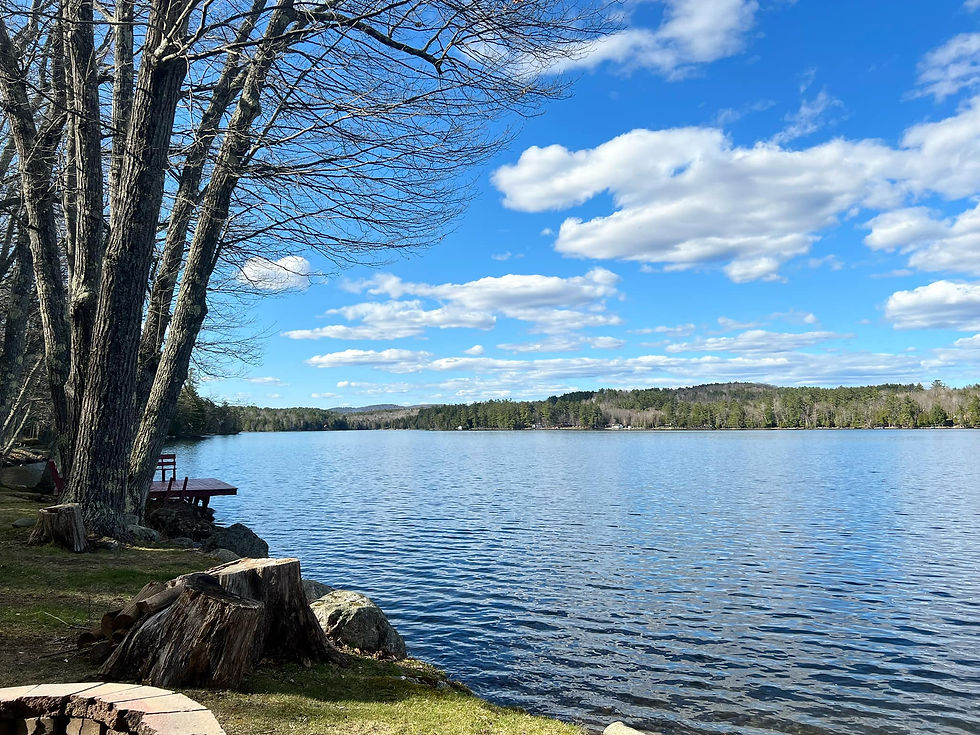 View of Lake Pennesseewassee from Palisades Pines