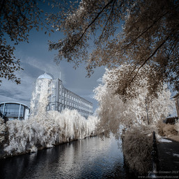 Norwich