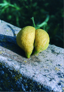 Bildschirmfoto 2019-11-08 um 16.27.42