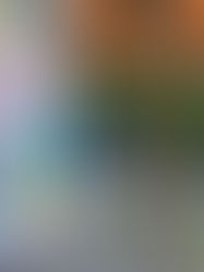 1er Concours de pétanque 2025