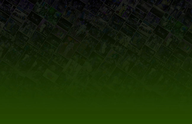 website green background.jpg
