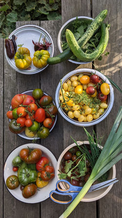 PXL_20240818_151845535