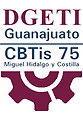 LOGO 3 CB DGTI 21.jpg