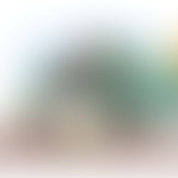 一幅插畫,描繪坐在噴泉旁、正在重新繫鞋帶的女子,與靜靜守候在一旁的貓咪。