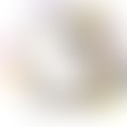 RISOU様 2023夏号イラスト