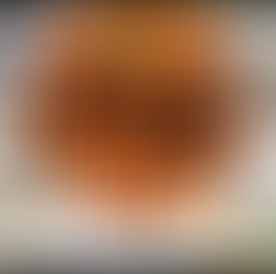 Instagram【講談社の動く図鑑MOVE】