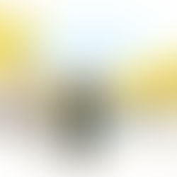 네덜란드 암스테르담 × Scotch & Soda 감성 일러스트 | 성인 여성 대상 | 달콤 쌉싸름한 무드 | 패션 × 도시 × 라이프스타일 | Takako | 부드럽고 시네마틱한 분위기