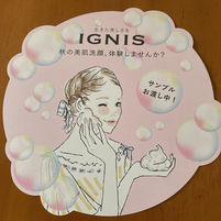 IGNIS様 秋の新作販促イラスト担当しました