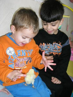 הגן הקסום - גן ילדים פרטי בשיטת מונסטורי במושב אודם