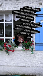 WhatsApp Image 2023-01-31 at 11.36.44 PM.jpeg