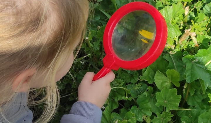 WhatsApp Image 2023-01-23 at 7.25.02 PM.jpeg