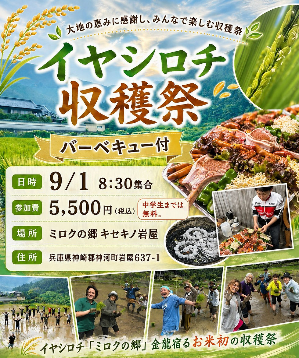 令和8年5月のお田植え祭で植えた稲が実りの季節を迎えます。9月1日開催「イヤシロチ収穫祭」のご案内です。
