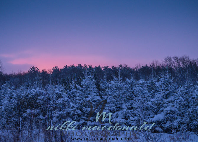 Our New Adventure...... 2015!