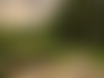 What Does Residential Landscaping Actually Cost in Victoria?