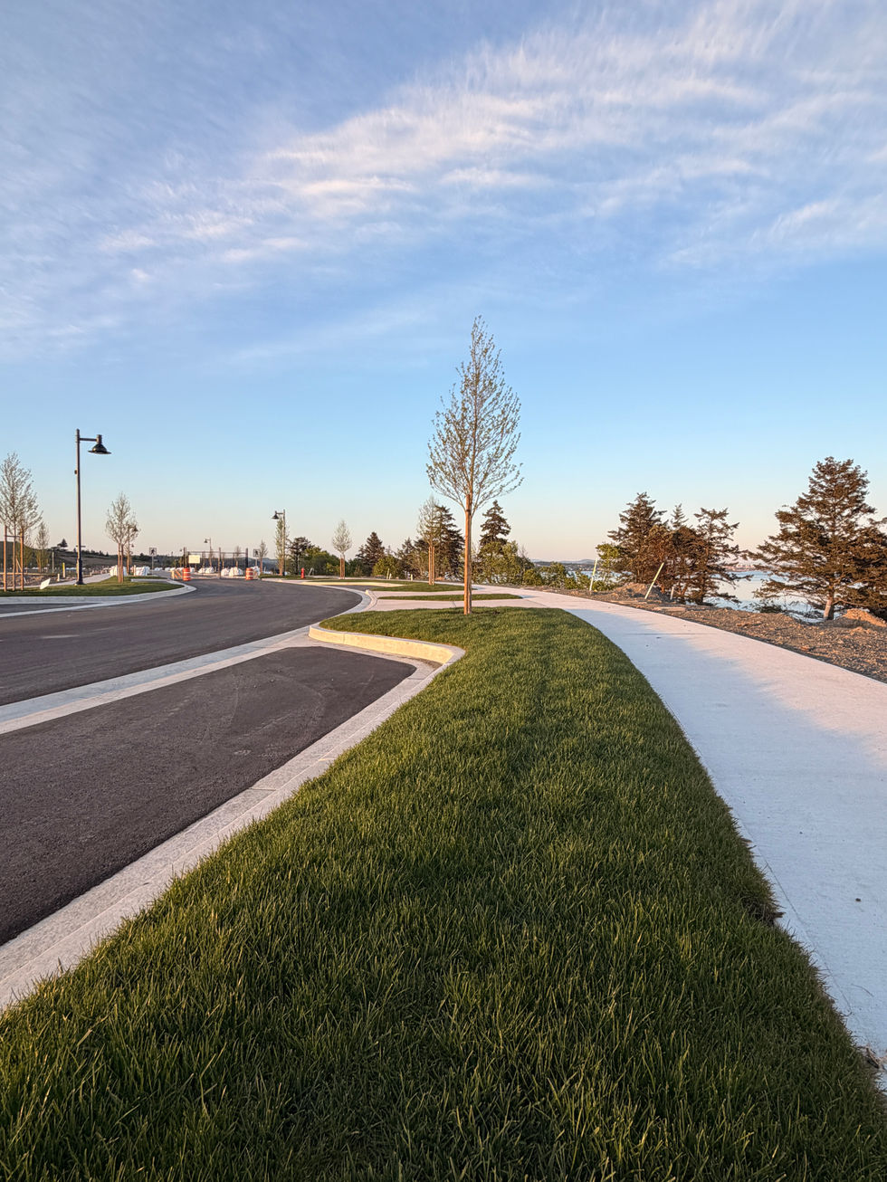 Roadside path with grass and trees under blue sky.