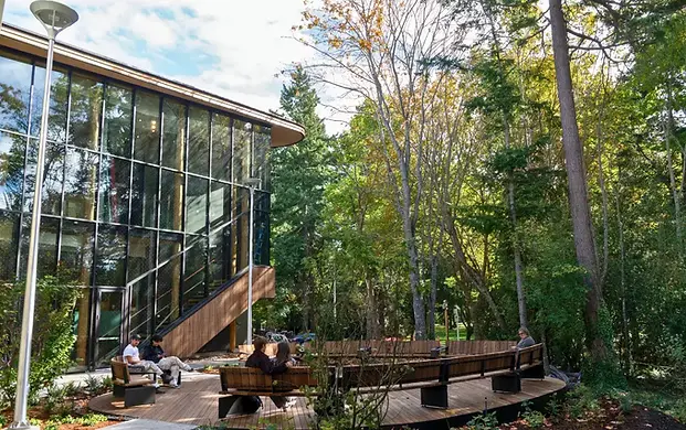 NCIL Building Courtyard.webp