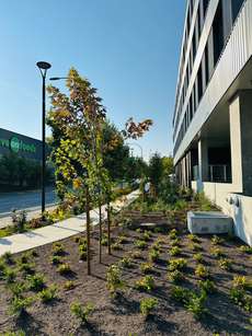 Multi-residential building with modern landscaping in Saanich.