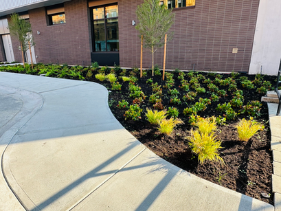 Landscaping at multi residential building, Saanich