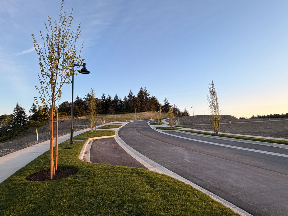 Empty parking lot with trees and streetlights.