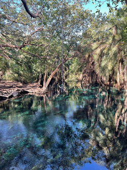 HotSprings